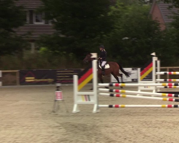 Reitturnier Kropp 2021