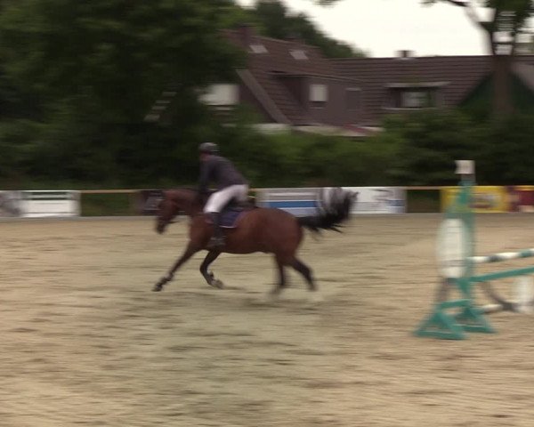 Reitturnier Kropp 2021