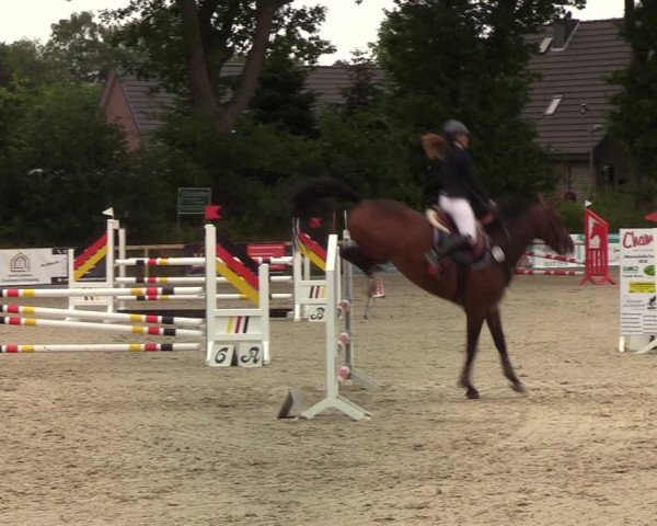 Reitturnier Kropp 2021