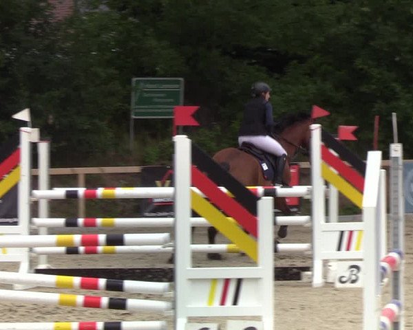 Reitturnier Kropp 2021