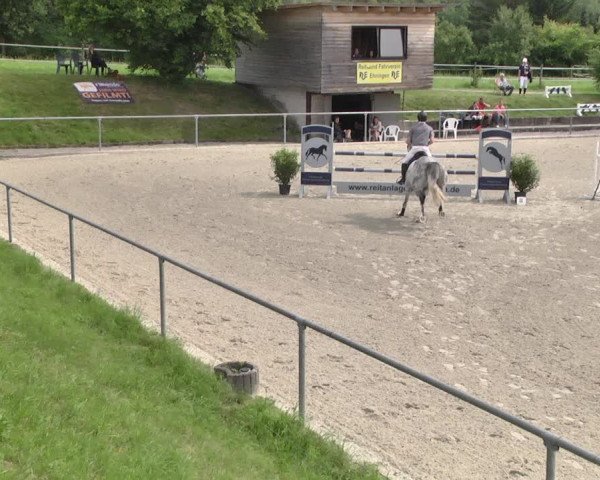 Reitturnier Ehningen 2021