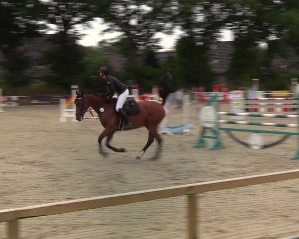 Reitturnier Kropp 2021