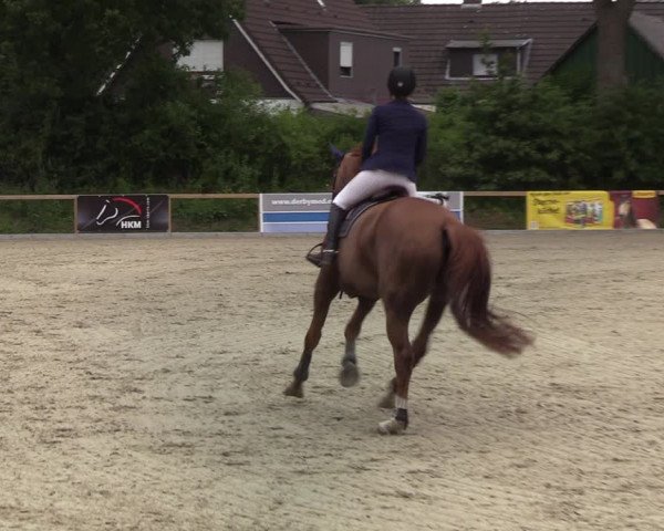 Reitturnier Kropp 2021