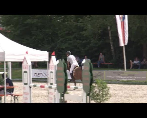 Reitturnier Grafenrheinfeld/Ufr. 2021