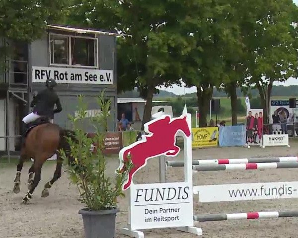 Reitturnier Rot am See – Musdorf 2021