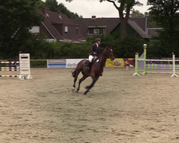 Reitturnier Kropp 2021