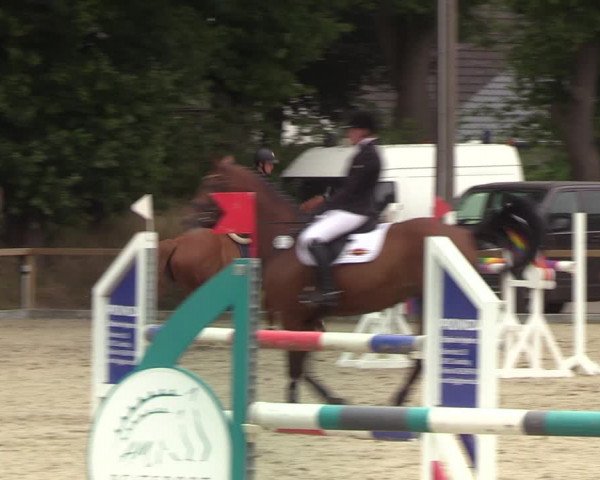 Reitturnier Kropp 2021