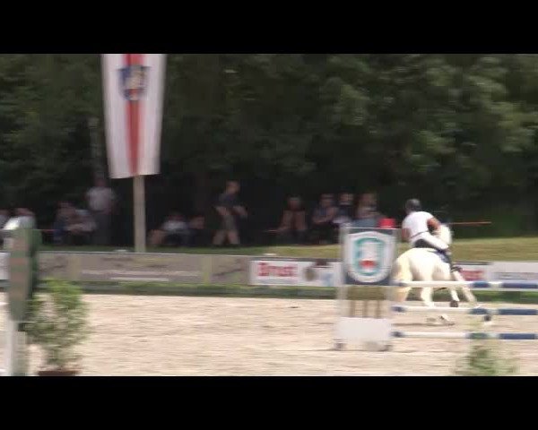 Reitturnier Grafenrheinfeld/Ufr. 2021
