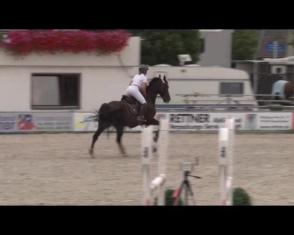 Reitturnier Grafenrheinfeld/Ufr. 2021
