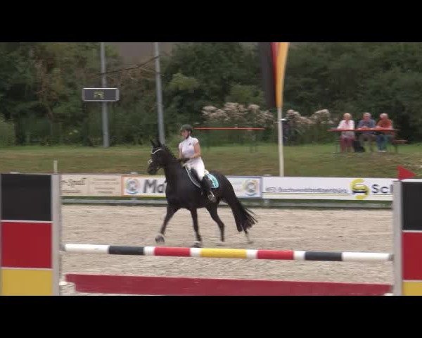 Reitturnier Grafenrheinfeld/Ufr. 2021