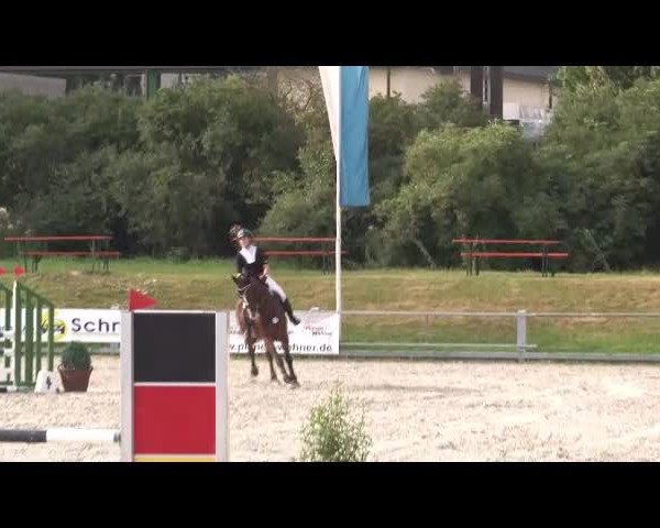 Reitturnier Grafenrheinfeld/Ufr. 2021