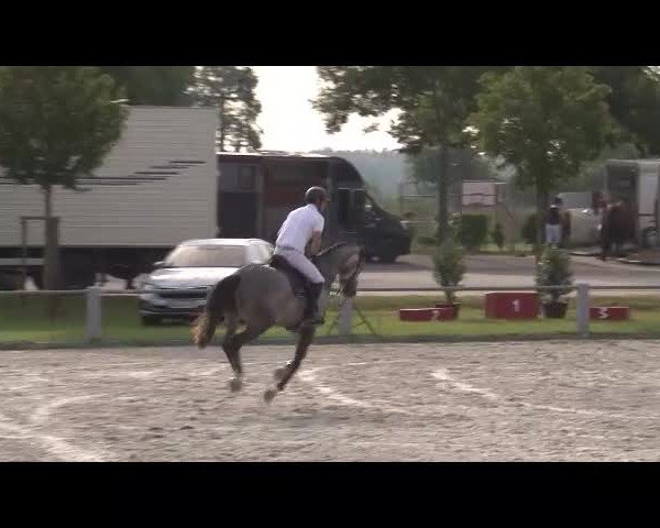 Reitturnier Grafenrheinfeld/Ufr. 2021