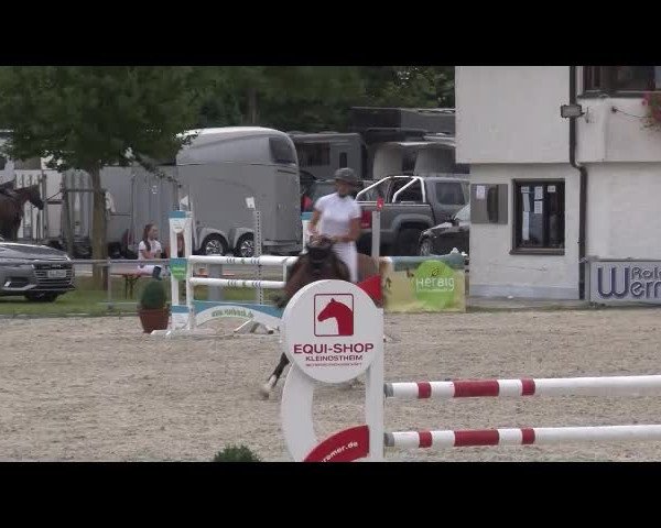 Reitturnier Grafenrheinfeld/Ufr. 2021