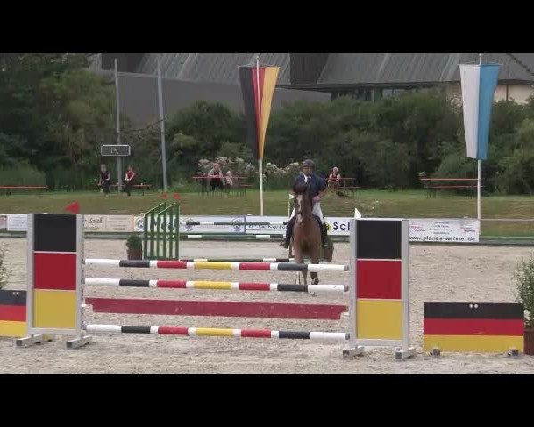 Reitturnier Grafenrheinfeld/Ufr. 2021