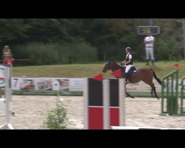 Reitturnier Grafenrheinfeld/Ufr. 2021