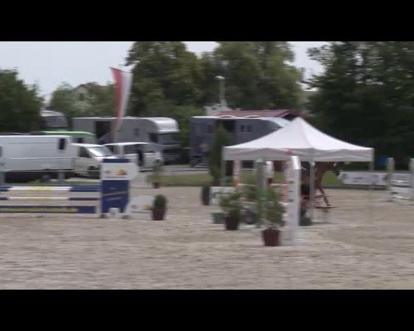 Reitturnier Grafenrheinfeld/Ufr. 2021