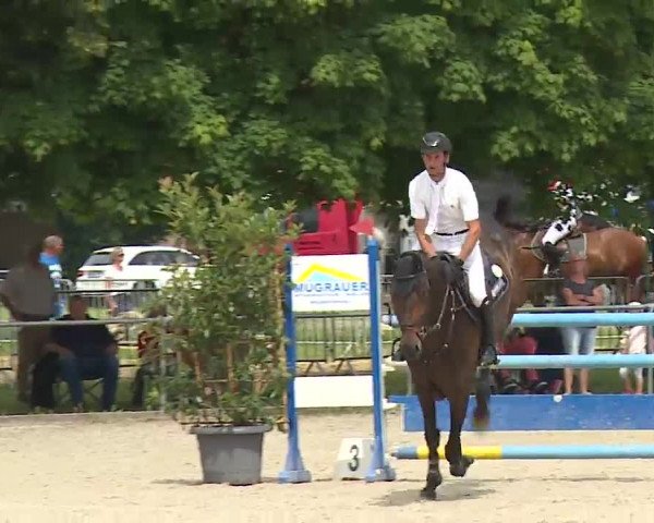 Reitturnier Rot am See – Musdorf 2021