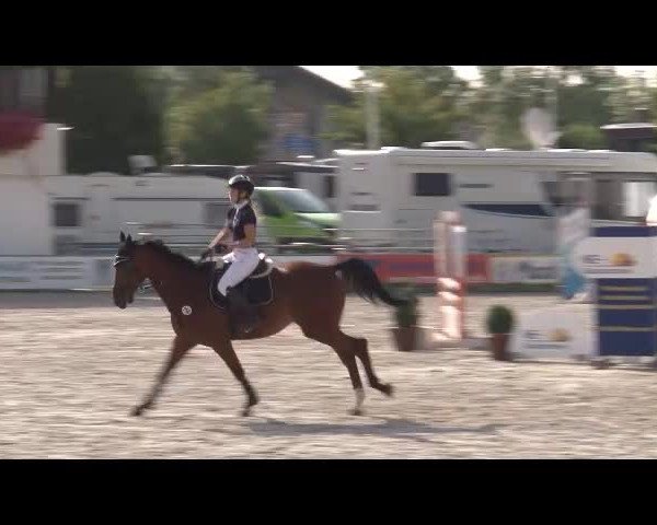 Reitturnier Grafenrheinfeld/Ufr. 2021