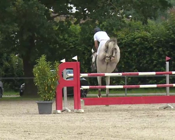 Reitturnier Rot am See – Musdorf 2021