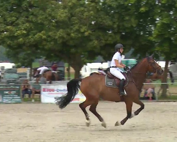 Reitturnier Rot am See – Musdorf 2021