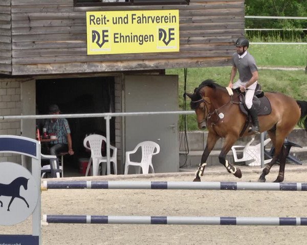 Reitturnier Ehningen 2021