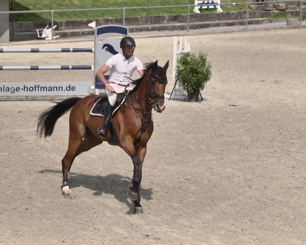 Reitturnier Ehningen 2021