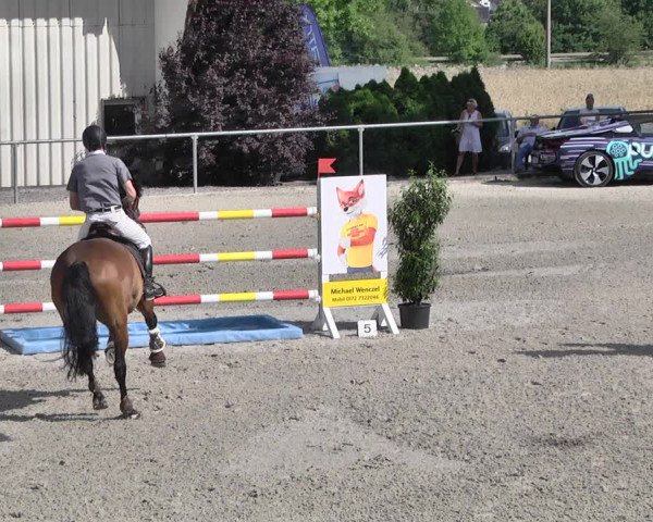 Reitturnier Ehningen 2021