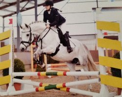 broodmare Dachsberg's Dijana (German Riding Pony, 2002, from Dressman IV)