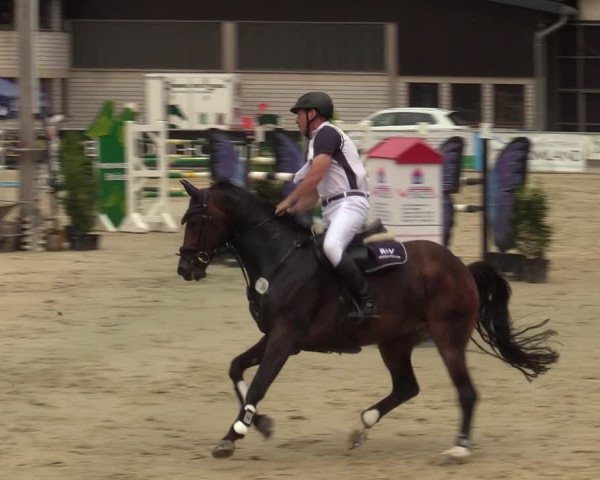 Reitturnier Olfen-Vinnum 2021