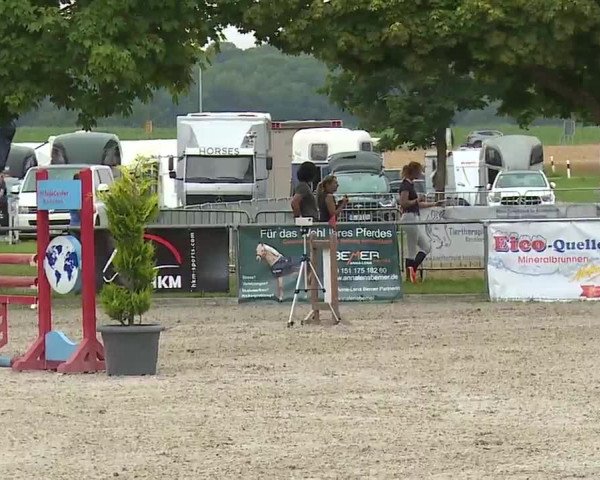 Reitturnier Rot am See – Musdorf 2021