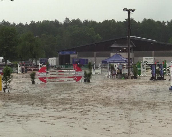 Reitturnier Olfen-Vinnum 2021