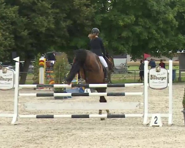 Reitturnier Rot am See – Musdorf 2021