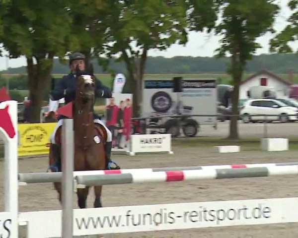 Reitturnier Rot am See – Musdorf 2021