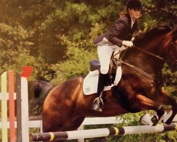 broodmare Luna (Westphalian, 2005, from Lacordos)