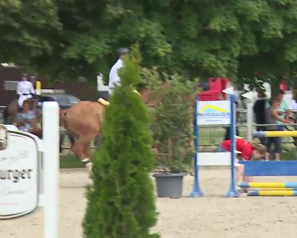 Reitturnier Rot am See – Musdorf 2021
