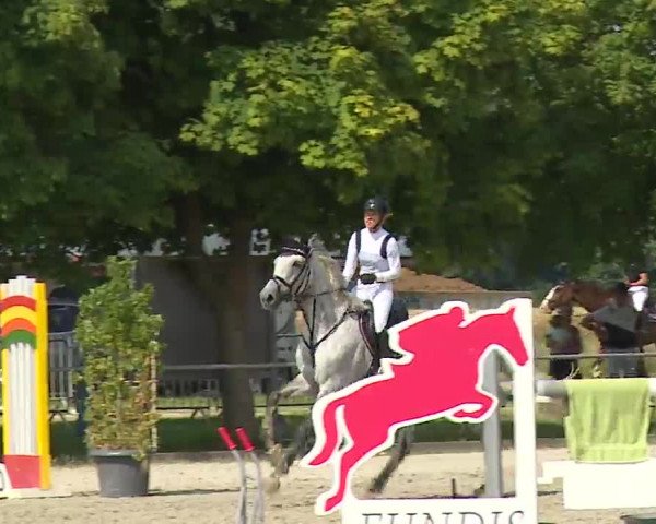 Reitturnier Rot am See – Musdorf 2021
