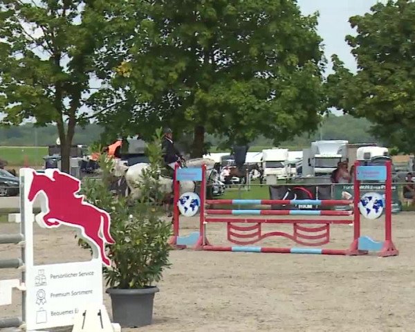 Reitturnier Rot am See – Musdorf 2021