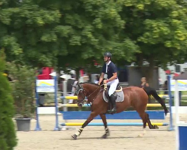 Reitturnier Rot am See – Musdorf 2021