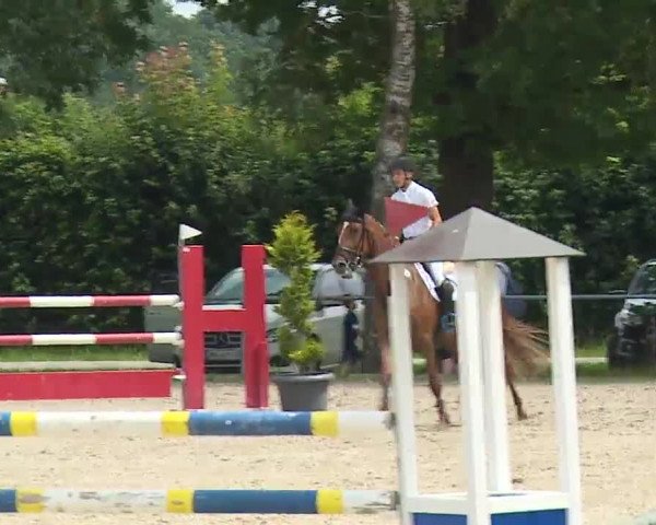 Reitturnier Rot am See – Musdorf 2021