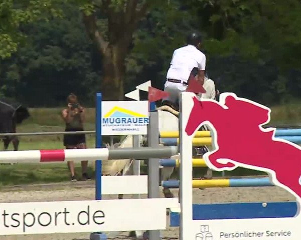Reitturnier Rot am See – Musdorf 2021