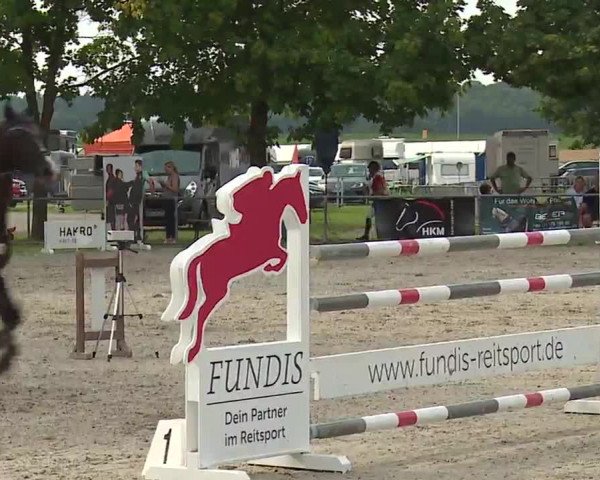 Reitturnier Rot am See – Musdorf 2021