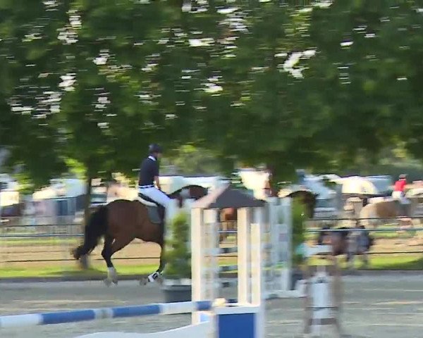 Reitturnier Rot am See – Musdorf 2021