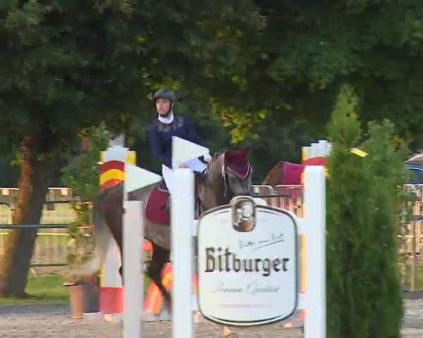 Reitturnier Rot am See – Musdorf 2021
