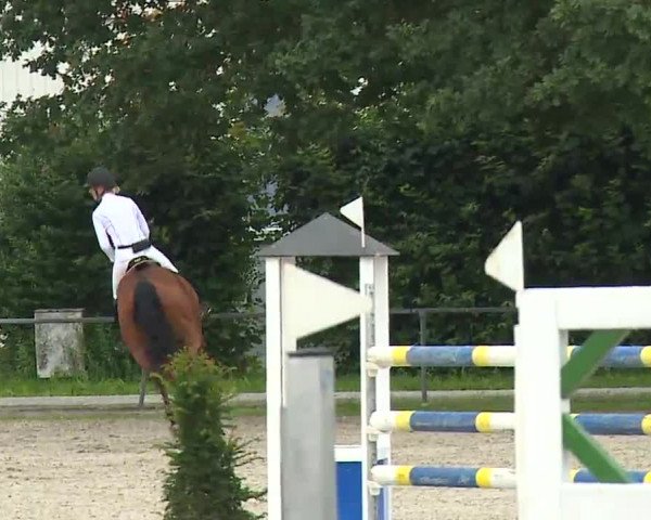 Reitturnier Rot am See – Musdorf 2021