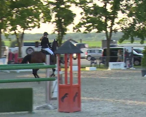 Reitturnier Rot am See – Musdorf 2021
