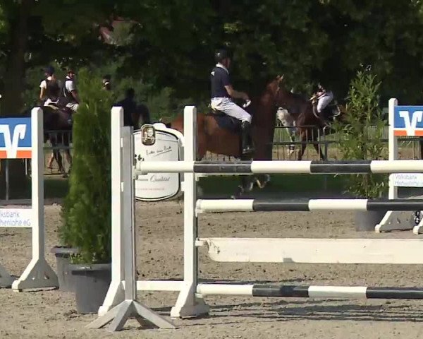 Reitturnier Rot am See – Musdorf 2021