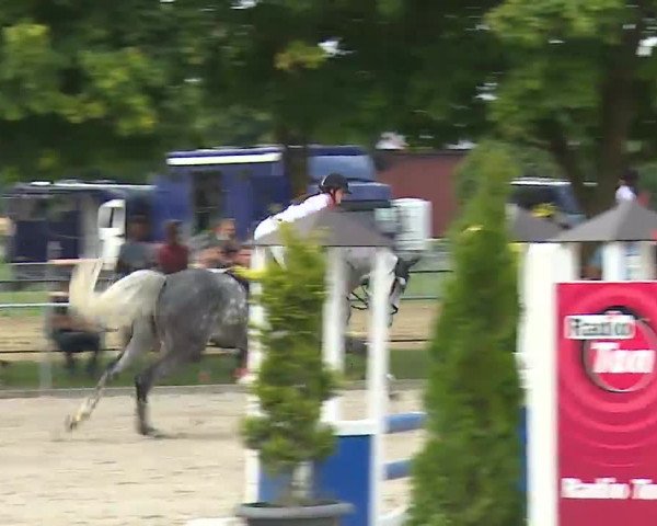 Reitturnier Rot am See – Musdorf 2021