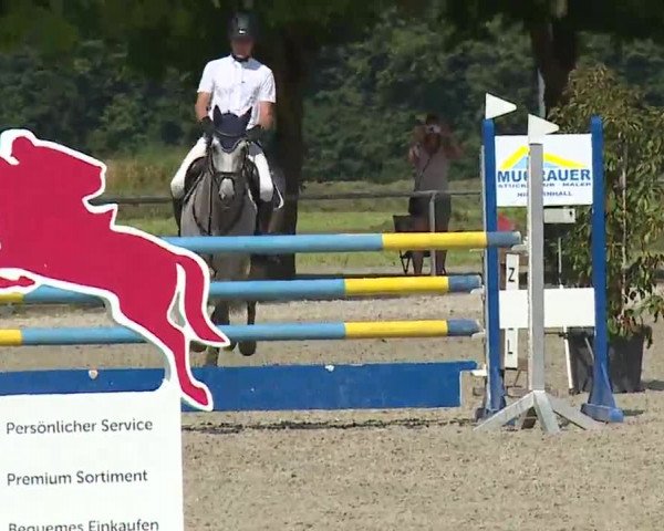Reitturnier Rot am See – Musdorf 2021