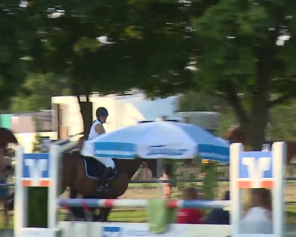 Reitturnier Rot am See – Musdorf 2021