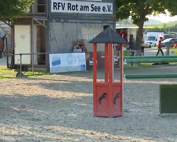Reitturnier Rot am See – Musdorf 2021